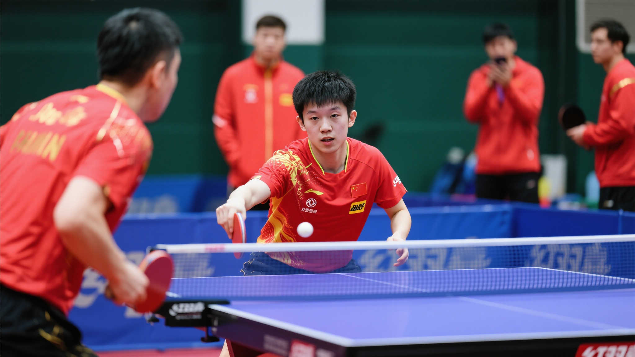 都进行了全 都进行了全